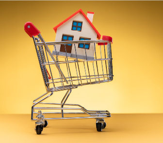 Shopping cart with a house in it